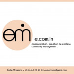 e.com.in